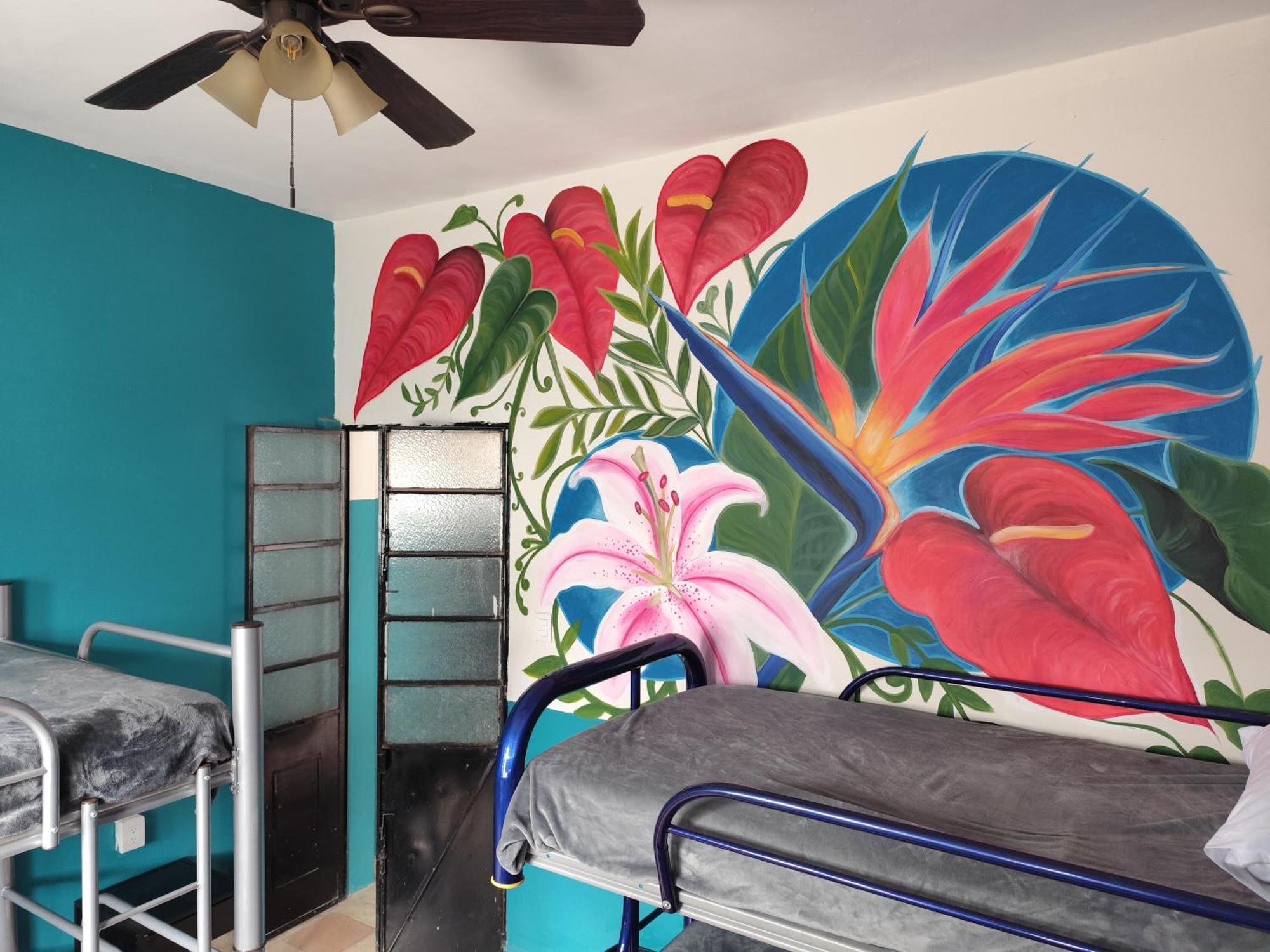 Lidia Anturios Hostal Oaxaca Экстерьер фото